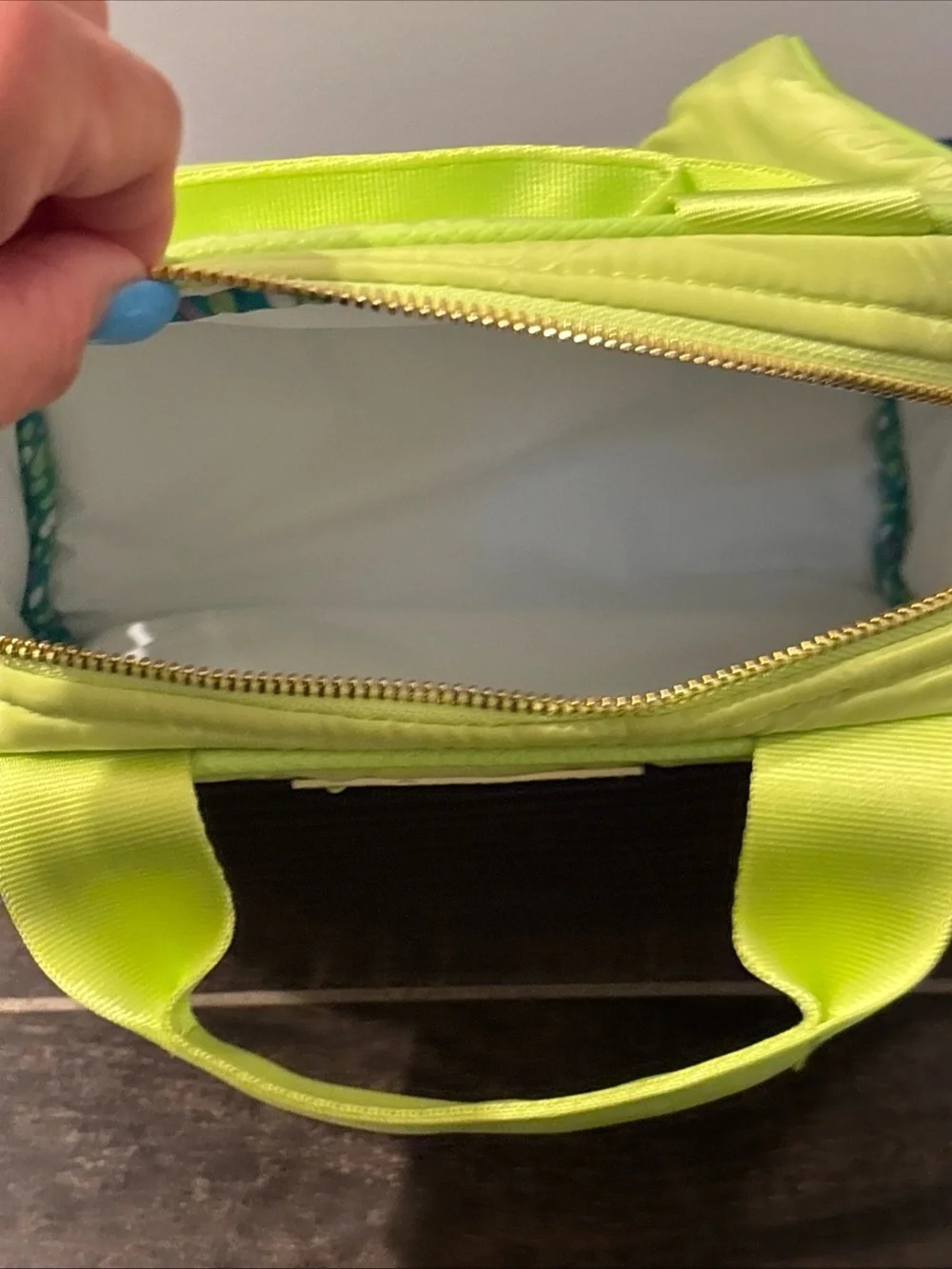 Vera Bradley Preppy Poly Lunch Cooler Sack Bag Case Box in Citrine Green